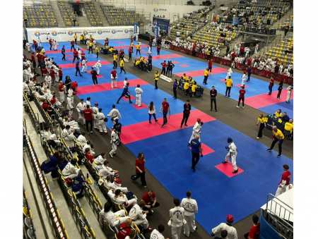 Niedźwiedzie z licznymi sukcesami