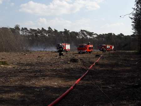 Kilkanaście zastępów straży i samolot walczyły z pożarem