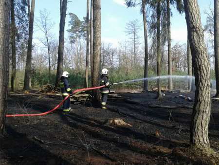 Płonął las w Mariance Siemieńskiej