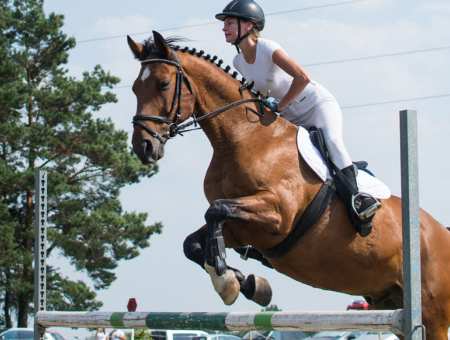 Elegancja i precyzja